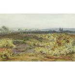 Claude Hayes (British, 1852-1922); 'On Wisley Common' watercolour, signed, 26cm x 38cm