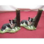 Large Border Fine Arts group, The Border Collie Collection "Keeping Watch" A8900, pair of book