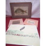 Collection of prints including one of a fish, and a stainless steel pocket knife