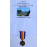 WWI casualty victory medal awarded to 1603 Pte. David Peters, 3rd Battalion Australian Infantry AIF,