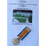 WWI casualty Great War victory medal awarded to Pte. J. J Petro (252635 102nd Battalion Canadian