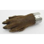 Early C20th unmarked white metal mounted Otter paw brooch, inscribed J.R 1913, L9cm