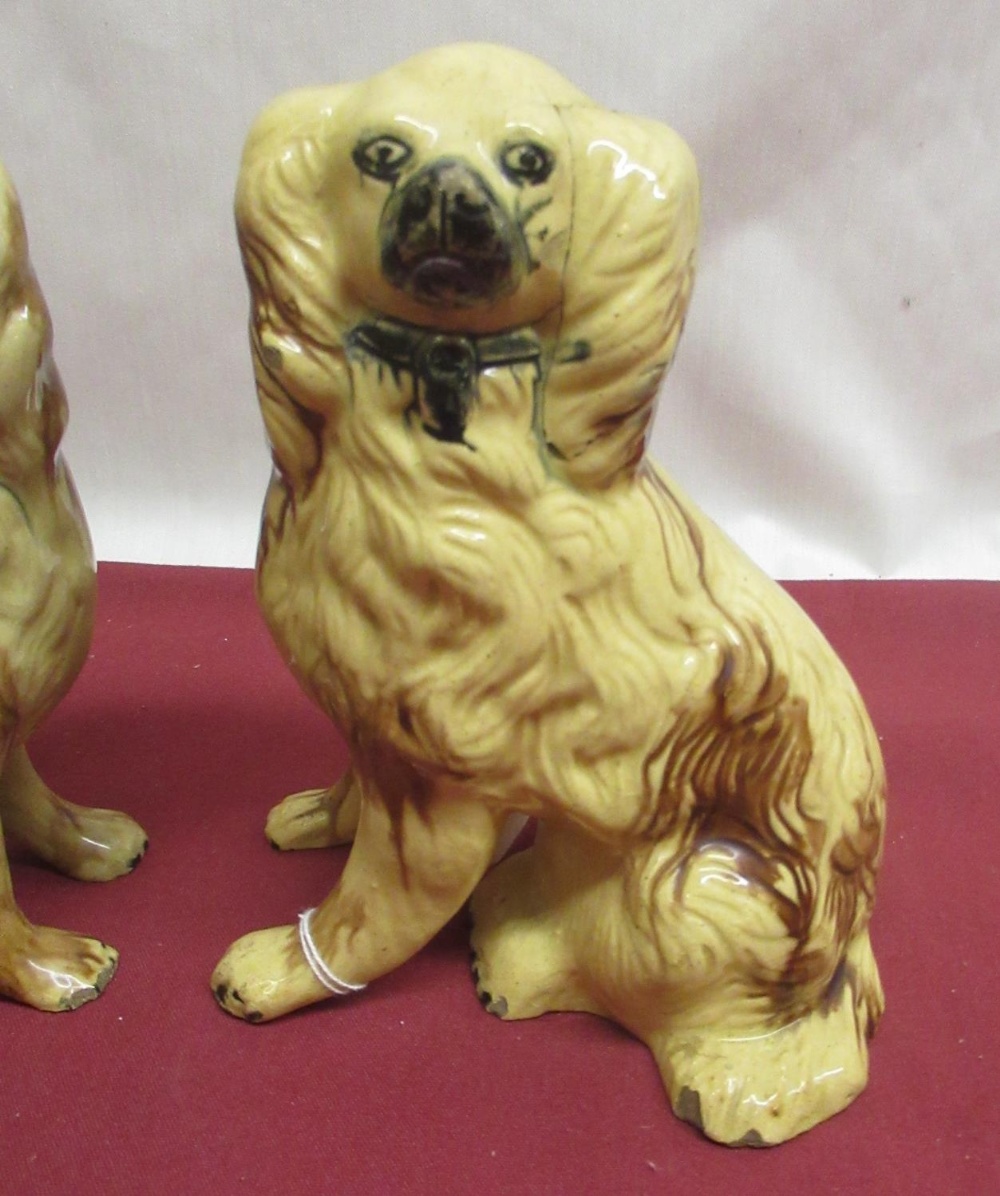 Pair of C19th Staffordshire brown glazed hollow models of Spaniels with black muzzles and collars, - Image 2 of 3