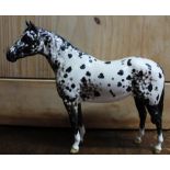 Beswick model of Appaloosa stallion, colourway no. 1, model no. 17772A