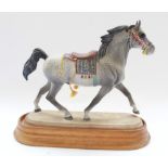 Beswick model of Connoisseur Series Arab stallion with saddle, in dappled grey matte finish, with