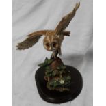 Country Artists model 'Tawny Owl Landing' on shaped base, H28cm