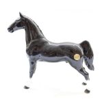 Beswick ltd. ed. model of 750 of stallion, Morgan horse in black gloss