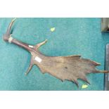 Large fallow deer antler