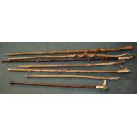 7 walking sticks including 2 Ash walking staffs with honeysuckle twists and silver coloured