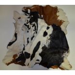 Five animal skins: One calf and four goat. Calf skin approx L100cm. Goat skins approx 85cm (5)