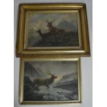 2 framed glazed prints of Stags and wild Deer. Smaller size:51x38.2cm Larger size:63x50.4cm