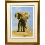 After David Shepherd (British 1931-2017); 'My Savuti Friend' Ltd. ed colour print 57/350, signed,