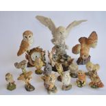 15 ceramic Owls, 12 from the Franklin Mint "The Magnificent World Of Owls" series. Also a large