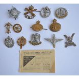 A collection of military cap badges including The Long Range Desert Group, RNAS, Royal Flying Corps,