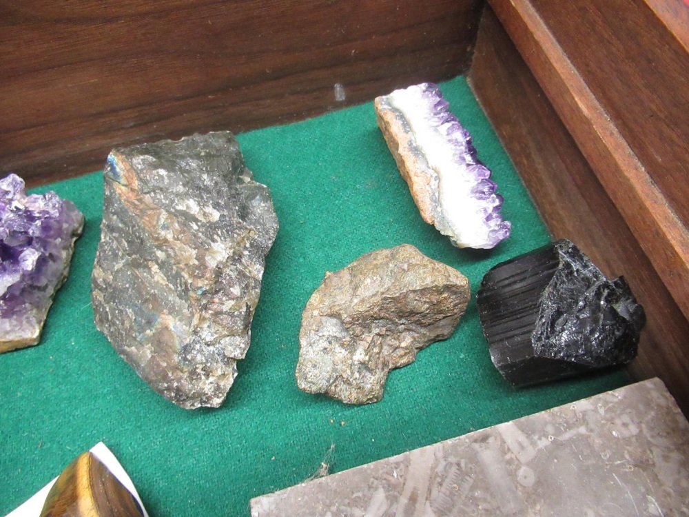 Box of Fossils and Minerals inc. Tigers Eye mineral, a piece of a Plesiosaur Vertebra, Whitby Jet, - Image 8 of 10