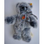 A Steiff Molly Schlenker Teddy Bear with tags, no box.