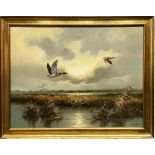 C. Lundy (British Contemporary); Mallards over a Fenland landscape, oil on board, signed, 40cm x