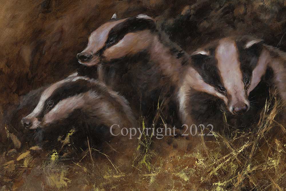 Badgers - Image 4 of 4