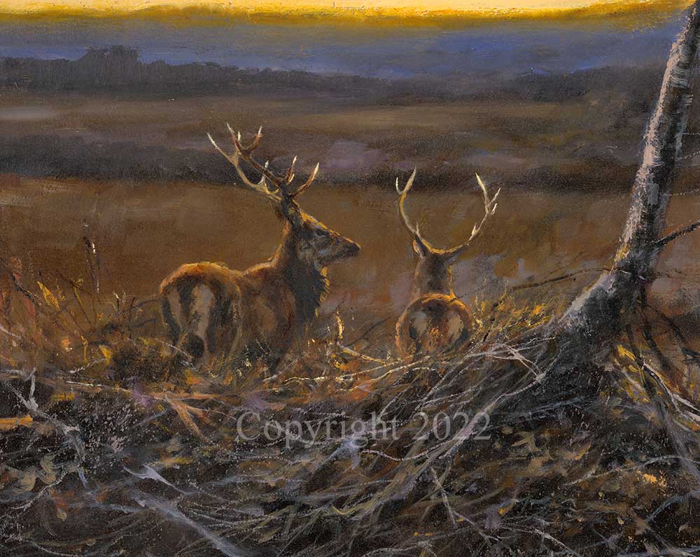 Sunset Stags - Image 3 of 4