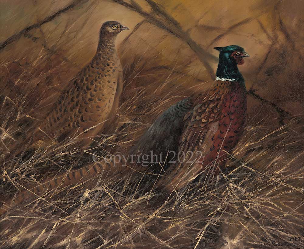 Pheasants - Image 2 of 3