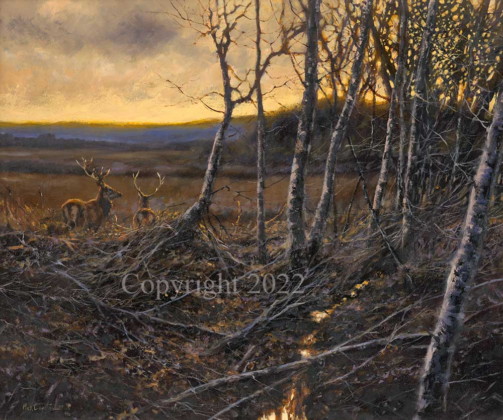 Sunset Stags - Image 2 of 4