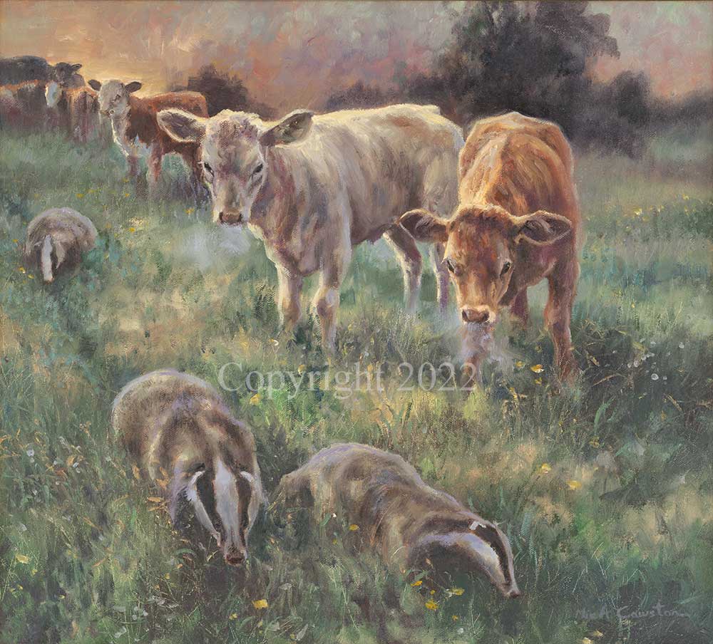 Cattle and Badgers - Image 2 of 3