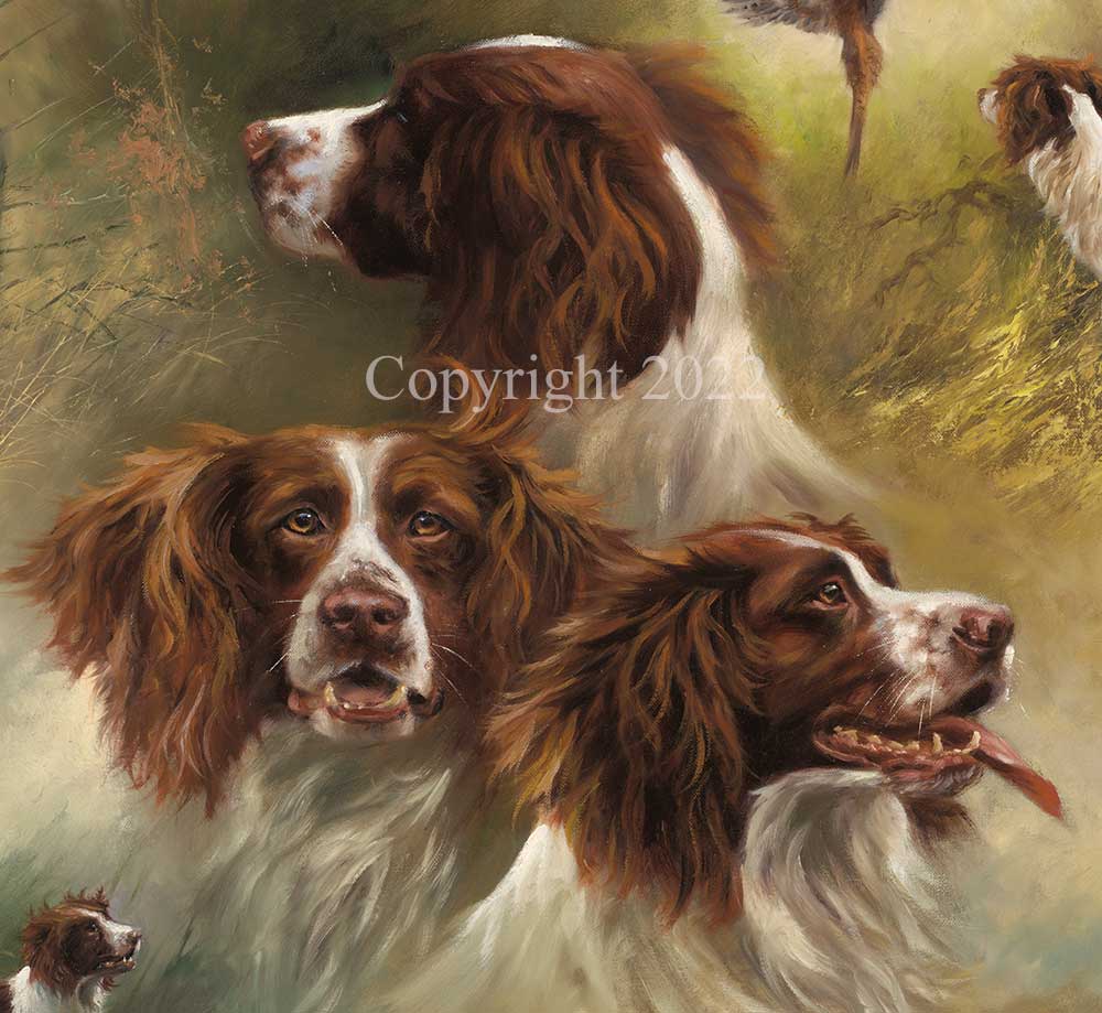 Springers - Image 4 of 4