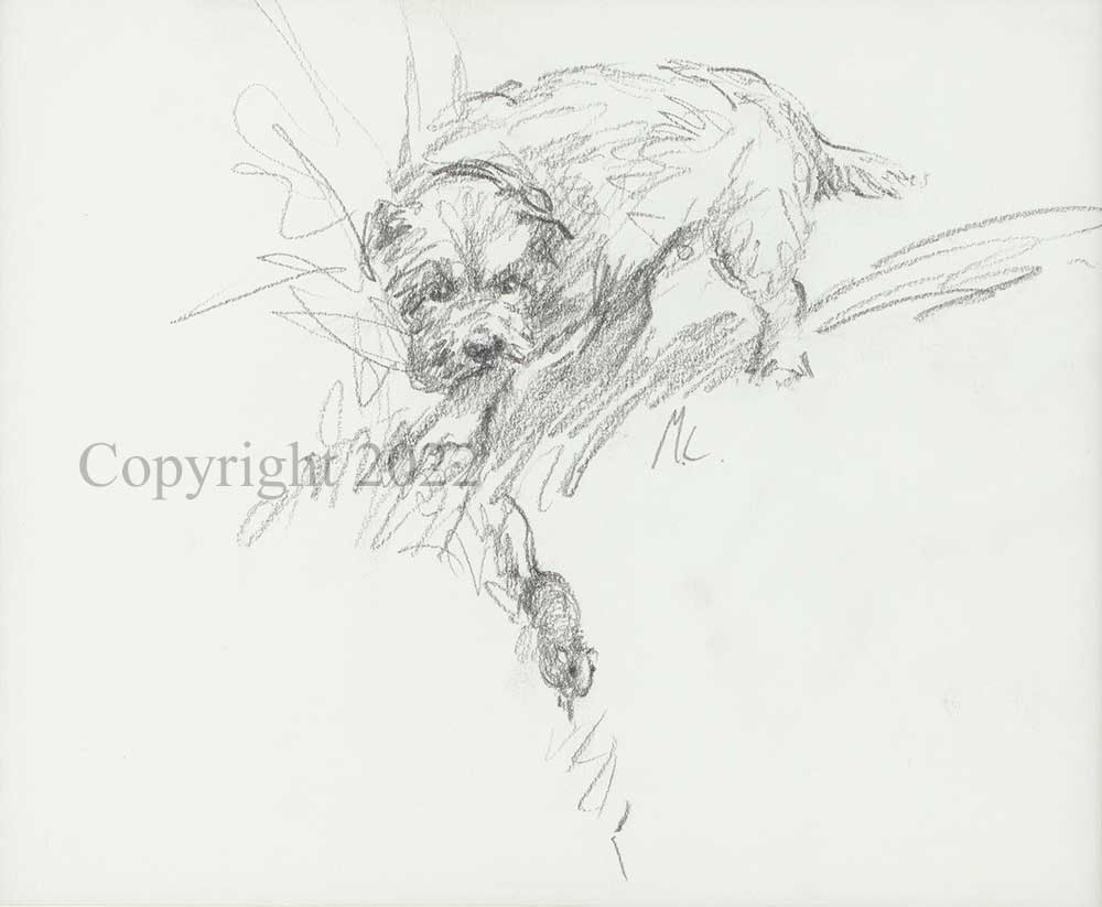 Border Terrier Mousing - Sketch - Image 2 of 2
