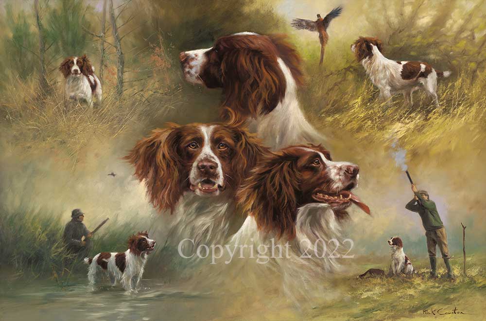 Springers - Image 2 of 4