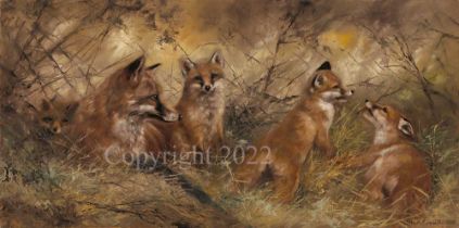 Fox Cubs