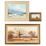 Property of a deceased estate - Thomas Hacking (South African, b.1932) - BUSHVELD SCENE - oil on