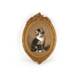 Property of a lady - attributed to Louis Wain (1860-1939) - A TABBY KITTEN - watercolour with