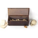 Property of a lady - anatomical & medical related items - a human half skeleton including skull,