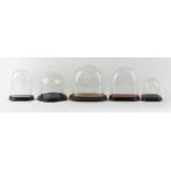 Property of a lady - a group of five glass domes with bases, the tallest 11.8ins. (30cms.) high (