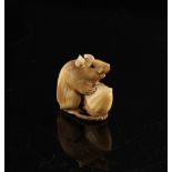 Property of a gentleman - a 19th century Japanese carved ivory netsuke of a rat with nut, by