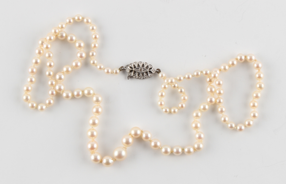 Property of a lady - a cultured pearl graduated single strand necklace, the largest pearl - Image 2 of 2