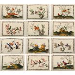 A complete album of twelve 19th century Chinese paintings on pith paper depicting birds, the