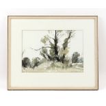 Property of a deceased estate - Edward Wesson (1910-1983) - TREES IN LANDSCAPE - watercolour, 12.5