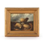 The Henry & Tricia Byrom Collection - 19th century - SHEEP IN LANDSCAPE - oil on canvas, 8.25 by