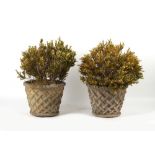 Property of a gentleman - a pair of well weathered reconstituted stone garden planters of basket