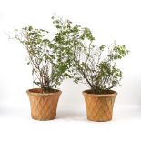 Property of a gentleman - a pair of well weathered terracotta garden planters of basket weave