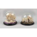 Property of a lady - two Victorian coral specimens, each under a glass dome, the taller 9.7ins. (