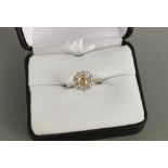 A platinum certificated natural fancy vivid yellow diamond & white diamond flowerhead cluster