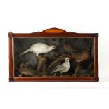 Property of a deceased estate - taxidermy - a Victorian stuffed Game Birds display, in