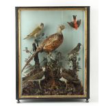 Property of a deceased estate - taxidermy - a Victorian stuffed Game and Wild Birds display, in