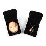 Property of a lady - a 9ct gold framed carved shell cameo brooch, 59mm long, with safety chain, in