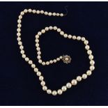 Property of a deceased estate - a cultured pearl single strand necklace, the largest of the