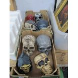 Model Human Skulls - including Nemesis Now, Design Clinic Cornwall, 2004 Bergamot:- Two Boxes.