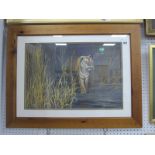 Alan G Dobbs 2004, Tiger, watercolour, signed bottom right, 37 x 55cm.