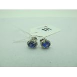 A Pair of Modern Tanzanite and Diamond Cluster Earrings, each oval four double claw set, with border